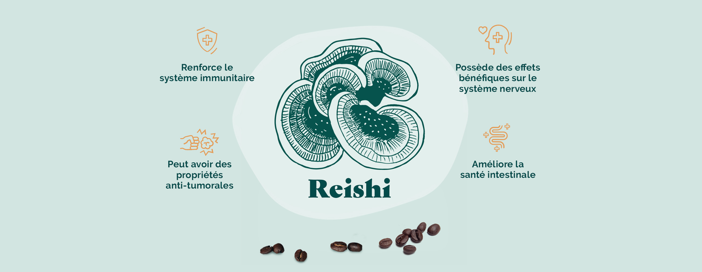 Qu’est-ce que le Reishi ?